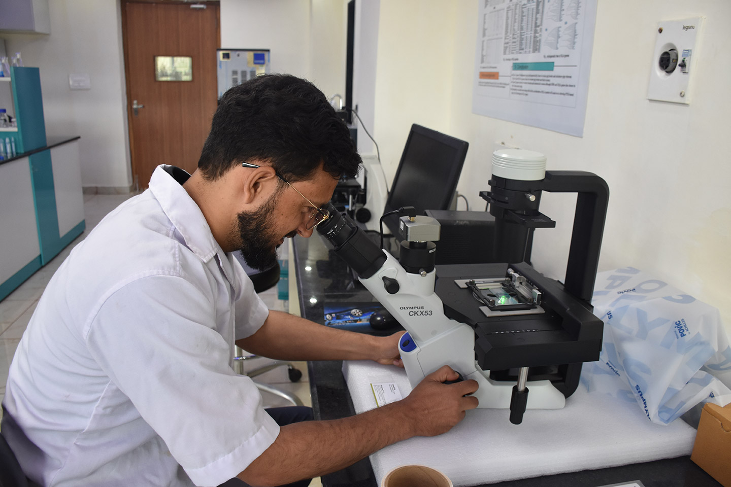 Dengue Chikungunya PCR